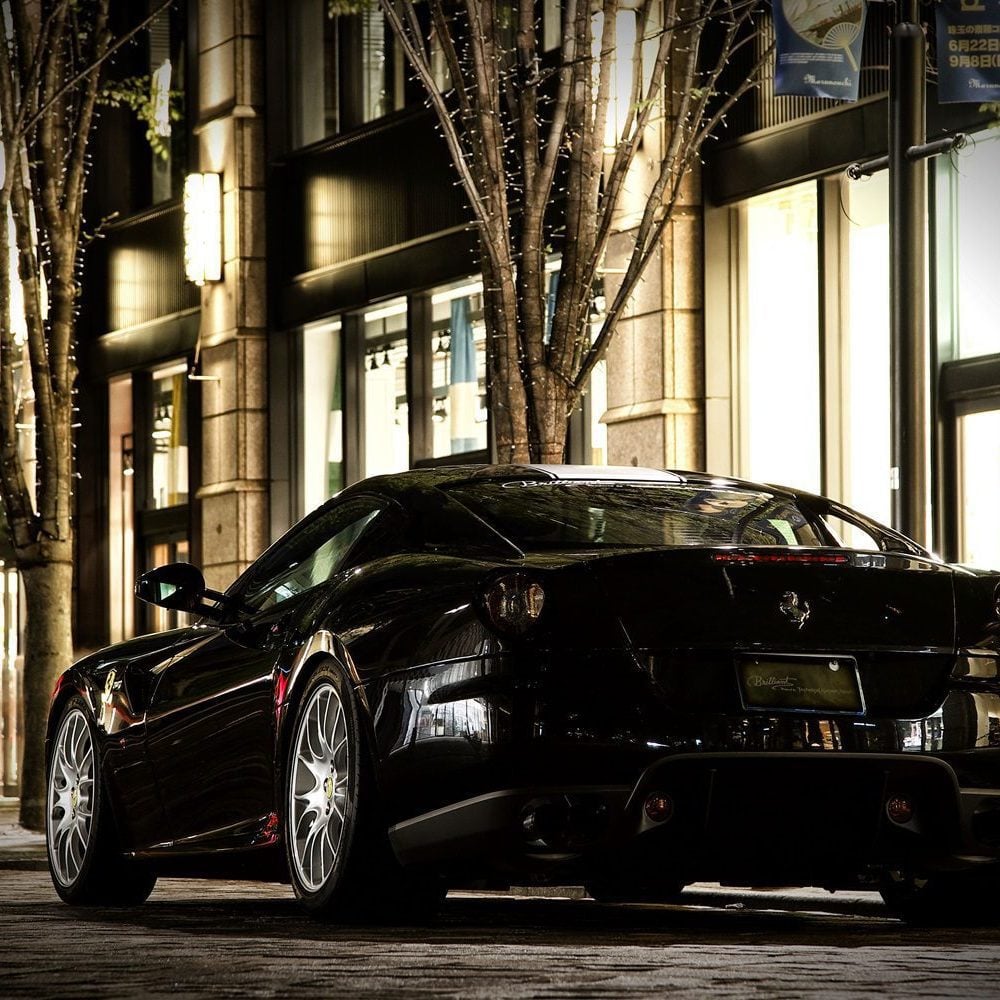 BRILLIANT EXHAUST SYSTEM FOR FERRARI 599 GTB & GTO