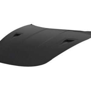 1016 INDUSTRIES HOOD FOR 991.2 PORSCHE 911 GT3 RS